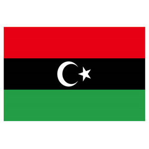 利比亞COI清關(guān)認證合約介紹